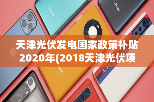 天津光伏发电国家政策补贴2020年(2018天津光伏项目建设)