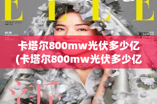 卡塔尔800mw光伏多少亿(卡塔尔800mw光伏多少亿)