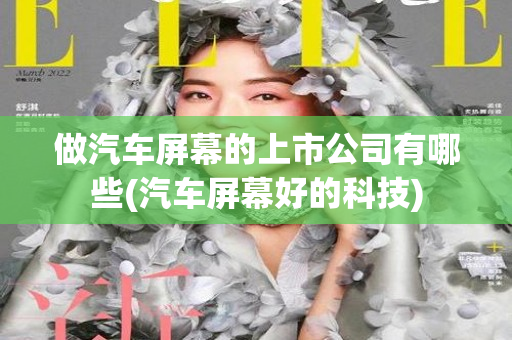 做汽车屏幕的上市公司有哪些(汽车屏幕好的科技)