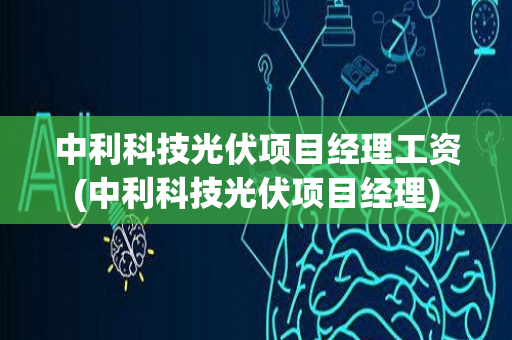 中利科技光伏项目经理工资(中利科技光伏项目经理)