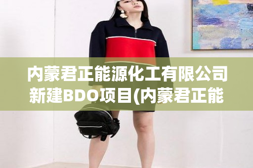 内蒙君正能源化工有限公司新建BDO项目(内蒙君正能源化工)