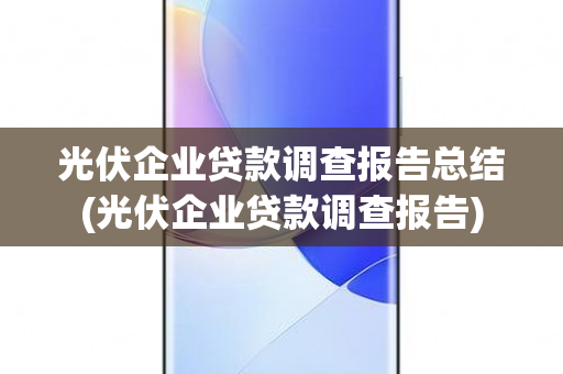 光伏企业贷款调查报告总结(光伏企业贷款调查报告)