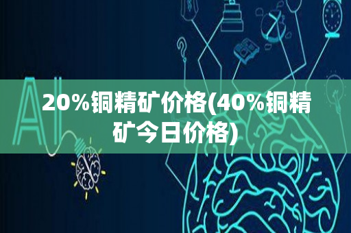 20%铜精矿价格(40%铜精矿今日价格)