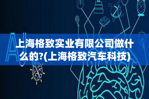 上海格致实业有限公司做什么的?(上海格致汽车科技)