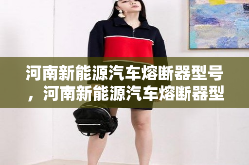 河南新能源汽车熔断器型号，河南新能源汽车熔断器型号有哪些