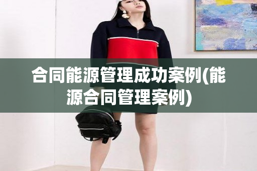 合同能源管理成功案例(能源合同管理案例)