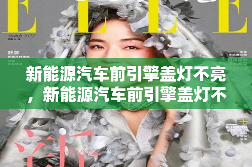 新能源汽车前引擎盖灯不亮，新能源汽车前引擎盖灯不亮怎么回事