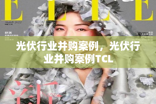 光伏行业并购案例，光伏行业并购案例TCL