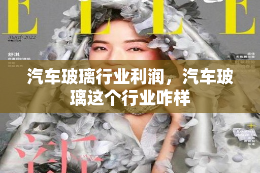 汽车玻璃行业利润，汽车玻璃这个行业咋样