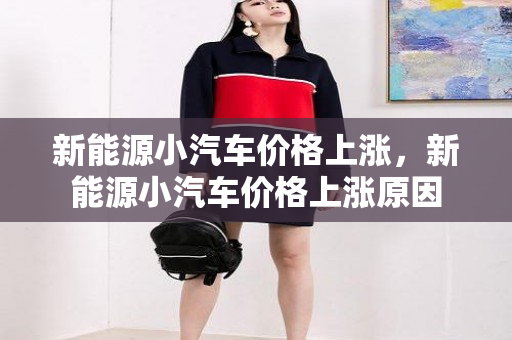 新能源小汽车价格上涨，新能源小汽车价格上涨原因