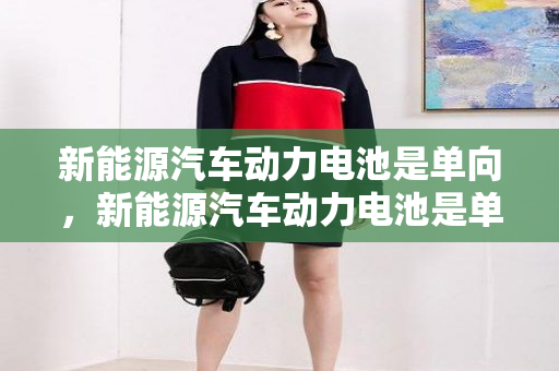 新能源汽车动力电池是单向，新能源汽车动力电池是单向还是双向