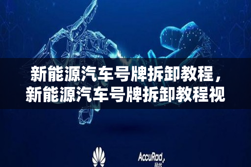 新能源汽车号牌拆卸教程，新能源汽车号牌拆卸教程视频