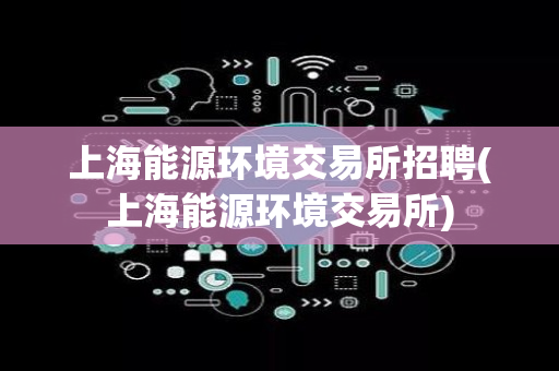 上海能源环境交易所招聘(上海能源环境交易所)