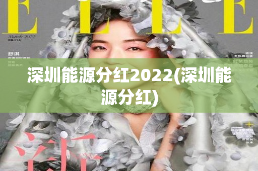 深圳能源分红2022(深圳能源分红)